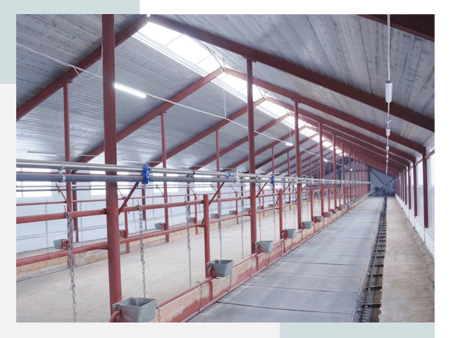 Строительство коровников в Воткинске от 622 руб.