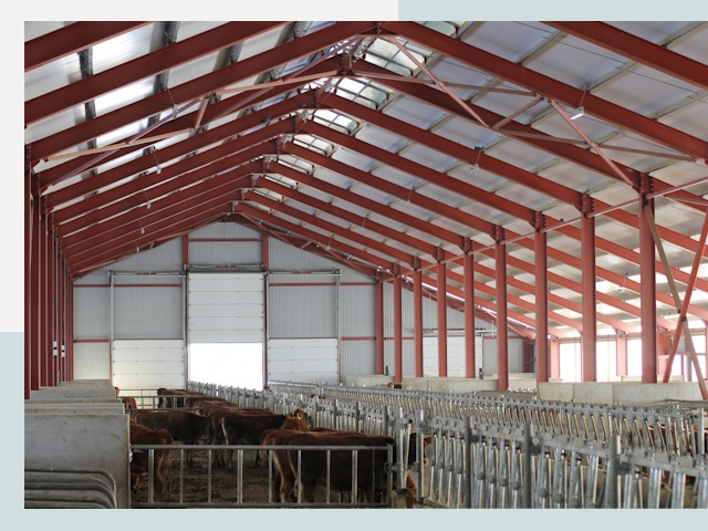 Строительство коровников в Воткинске