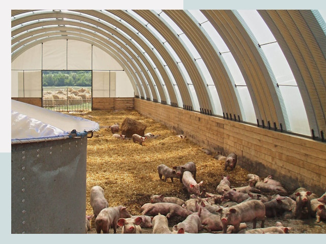 Строительство свинарников в Воткинске