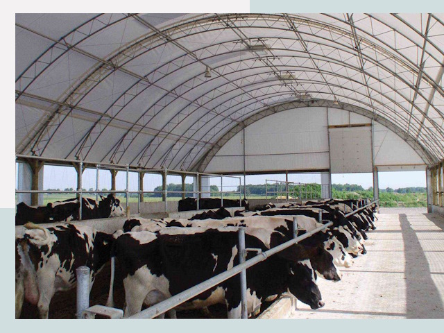 Тентовые коровники в Воткинске